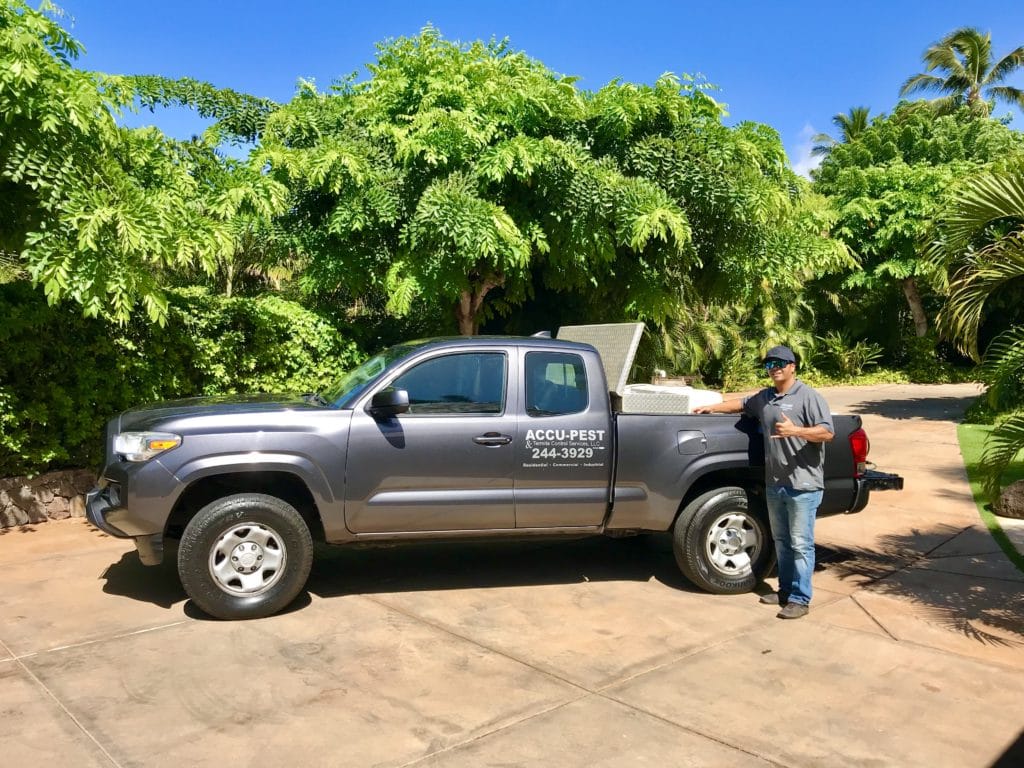 Accu Pest Maui And Oahu Pest Control Termite Treatment And Rodent Control